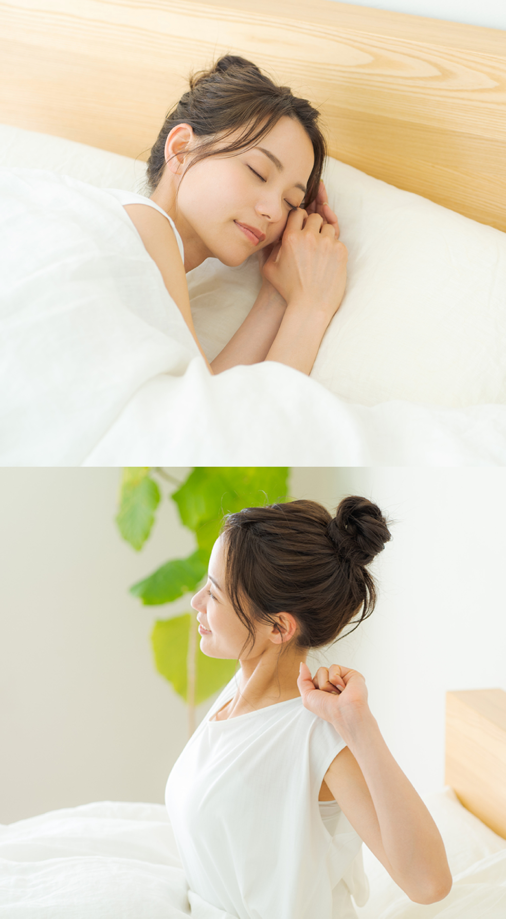 ラフマ由来成分でノンレム睡眠時間の割合が増加