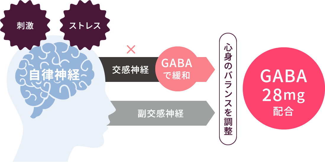 GABAに期待できるリラックス効果